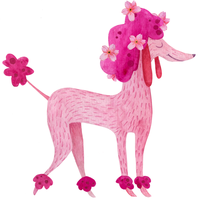 Watercolor pink poodle dog